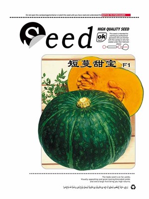 短蔓甜宝南瓜