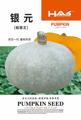银元南瓜