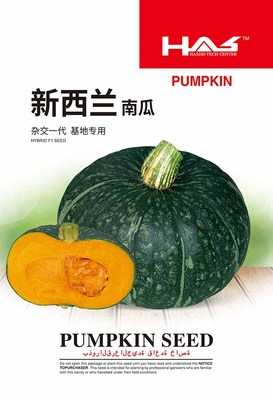 新西兰南瓜