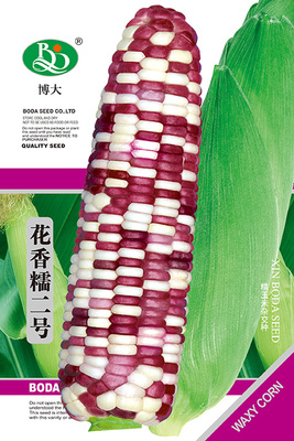 花香糯二号