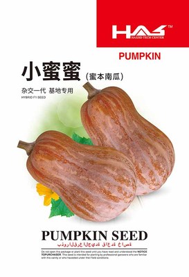 小蜜蜜南瓜