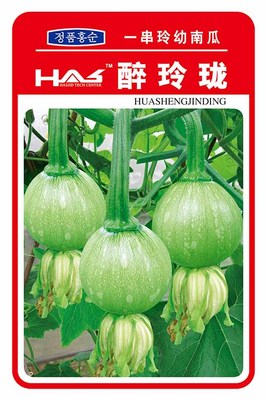醉玲珑南瓜